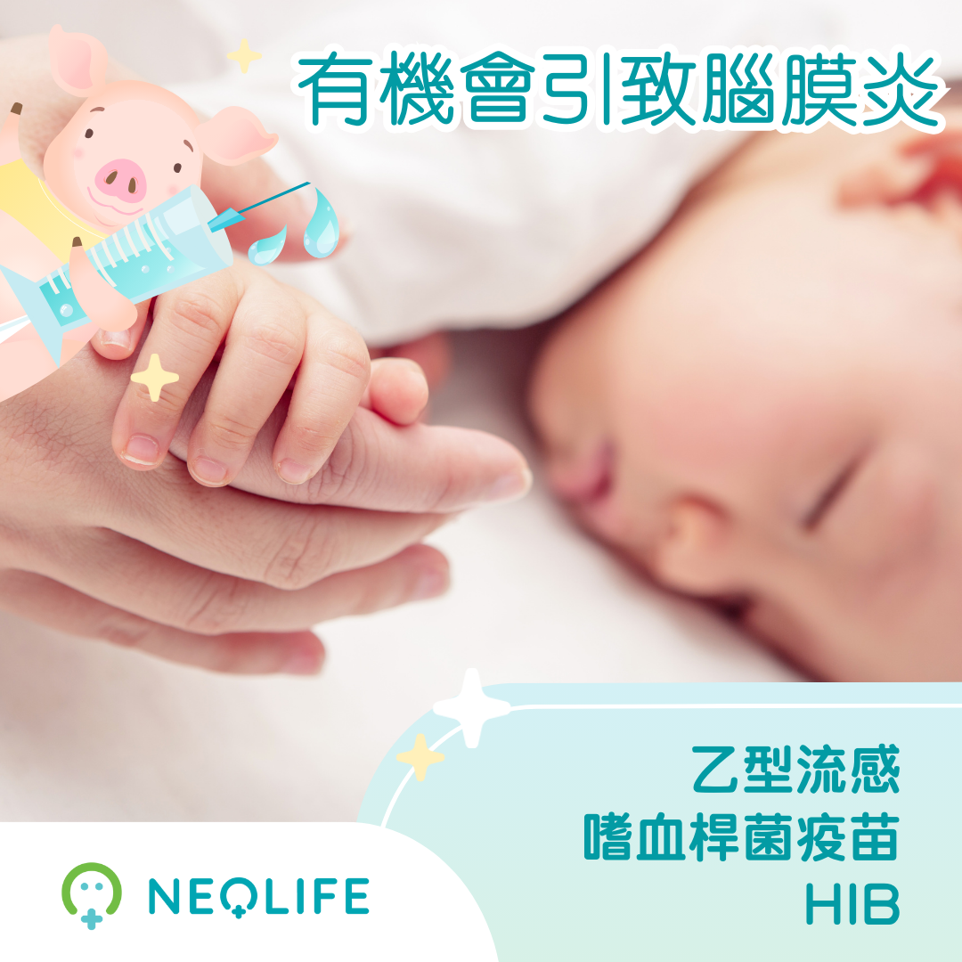 乙型流感嗜血桿菌疫苗 (HIB)